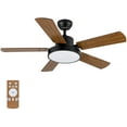 thumbnail image 1 of Hottes Low Profile Indoor / Outdoor Ceiling Fan with LED Light and Remote Control, 44", 1 of 9