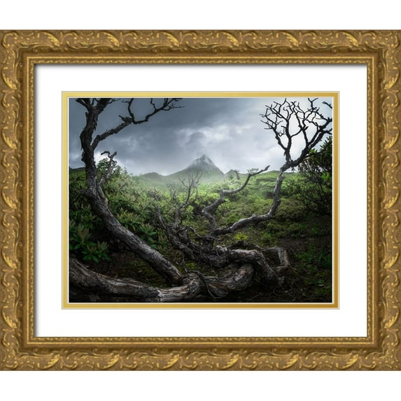 Hou, Minghao 14x12 Gold Ornate Wood Framed with Double Matting Museum Art Print Titled - Yunnan wasteland
