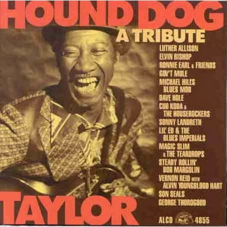 Hound Dog Taylor: Tribute