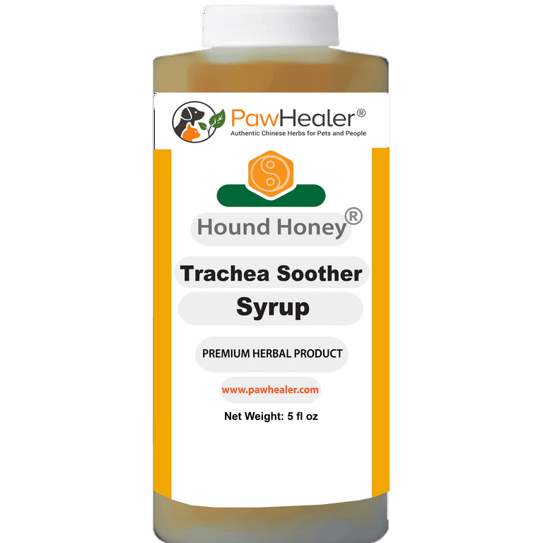 Trachea 2025 cough treatment