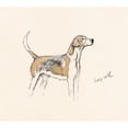 thumbnail image 1 of Hound Of The Meynell Hunt, Staffordshire Poster Print By Mary Evans Picture Library (36 X 24), 1 of 3