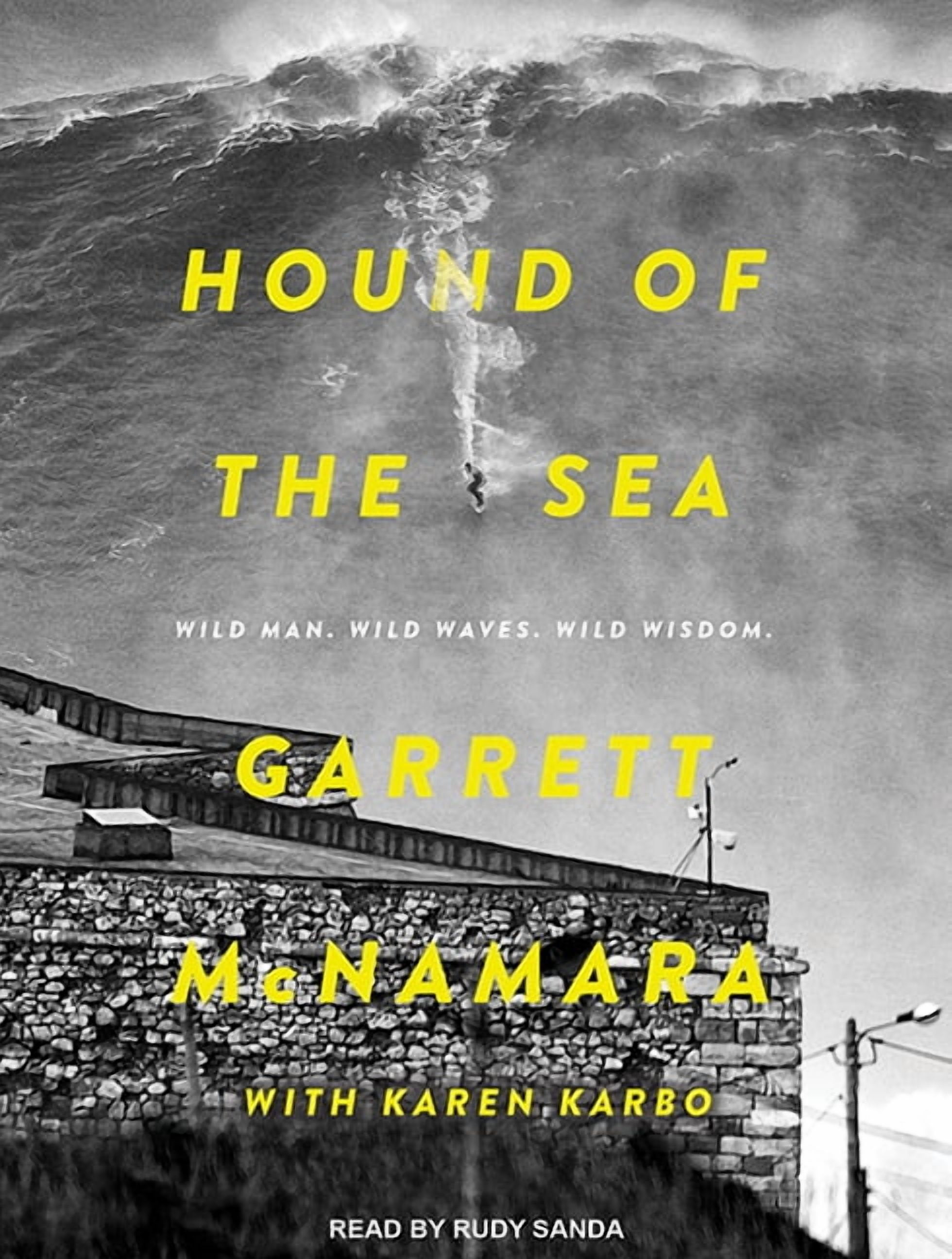 Hound of the Sea: Wild Man. Wild Waves. Wild Wisdom. (Audiobook)