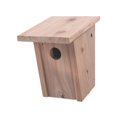 thumbnail image 1 of House Bird Wood Bluebird, 1 of 1