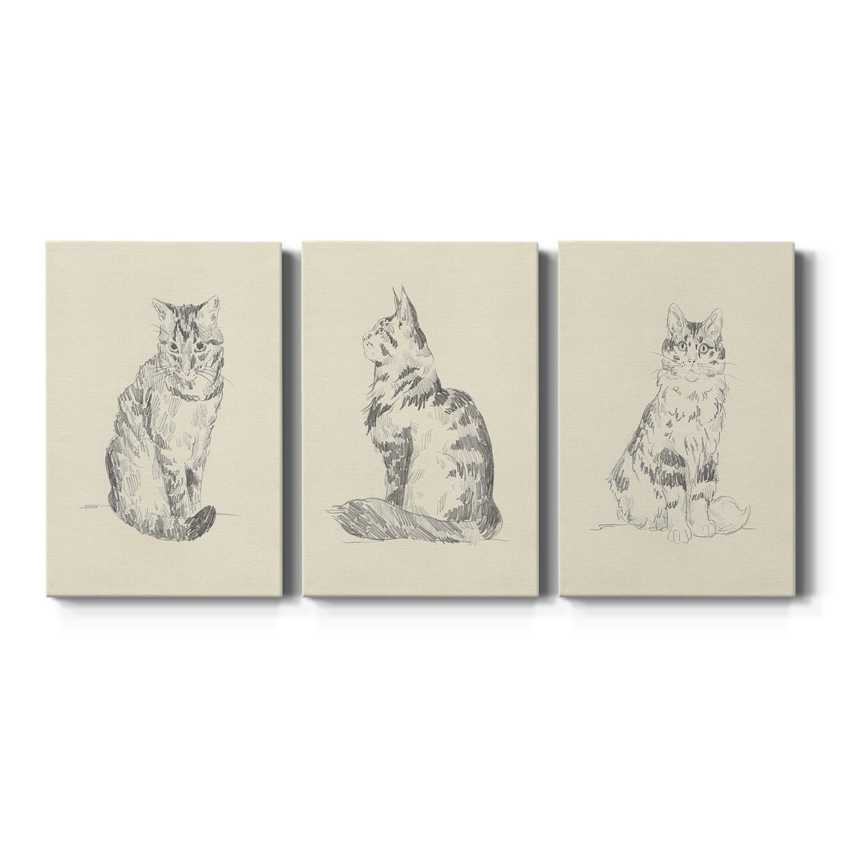 House Cat I Premium Gallery Wrapped Canvas - Ready to Hang - 18 x 27 Each