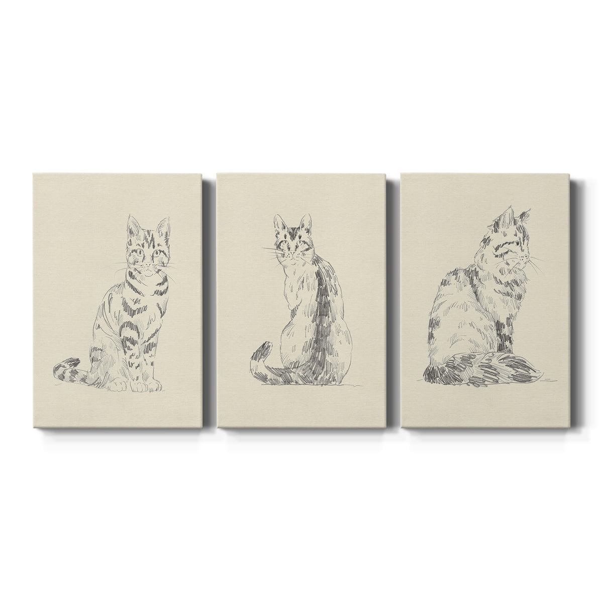 House Cat IV Premium Gallery Wrapped Canvas - Ready to Hang - 12 x 18 Each