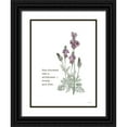 thumbnail image 1 of House Fenway 12x14 Black Ornate Wood Framed with Double Matting Museum Art Print Titled - Lovely and Free, 1 of 4