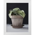 thumbnail image 1 of House Fenway 12x14 White Modern Wood Framed Museum Art Print Titled - Farmhouse Philodendron, 1 of 4