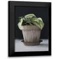 thumbnail image 1 of House Fenway 15x18 Black Modern Framed Museum Art Print Titled - Farmhouse Philodendron, 1 of 5