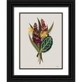 thumbnail image 1 of House Fenway 25x32 Black Ornate Wood Framed with Double Matting Museum Art Print Titled - Tropical Sprig, 1 of 4
