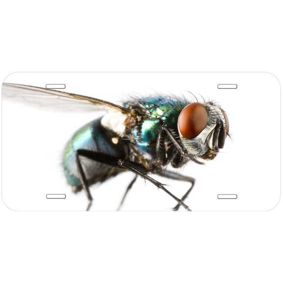 House Fly Novelty Car Auto License Plate