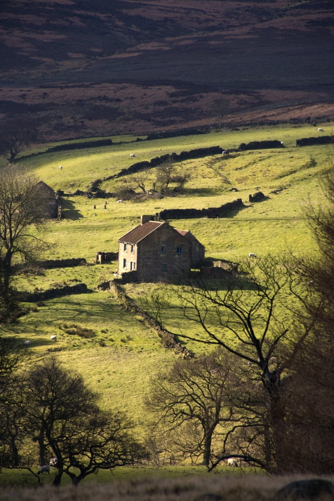 House In Countryside North York Moors North Yorkshire England Canvas Art - John Short Design Pics (24 x 36)