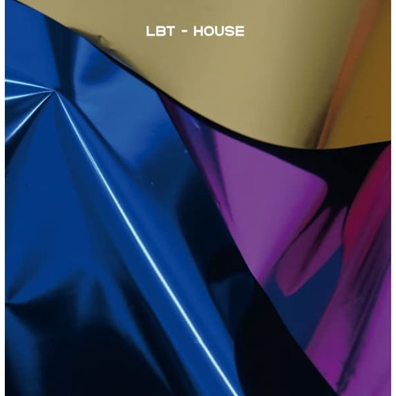 LBT House (Vinyl Record) 10" EP