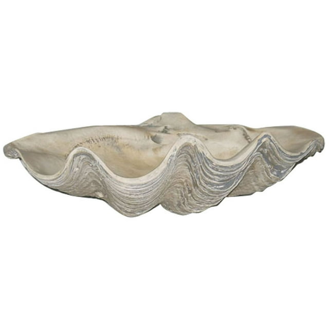 House Parts Large Clam Shell