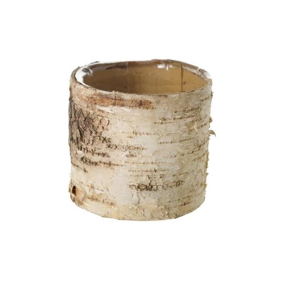 House Plant Dropship NF-PLNTR-02144 Rustic Birch Pot