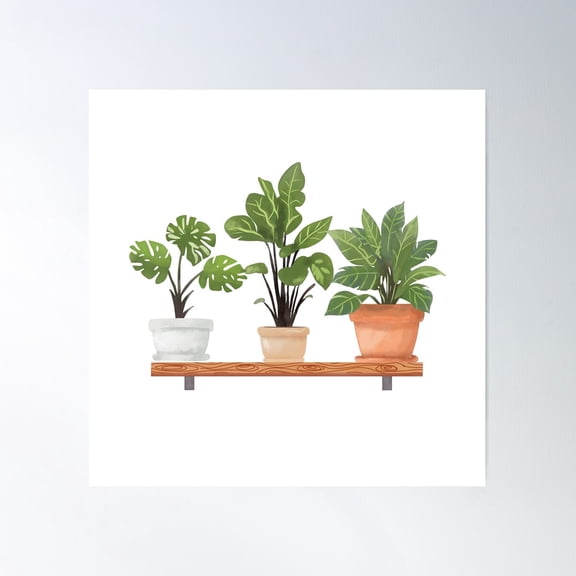 House Plant In Pot On Shelf For Decorations. Poster Wall Art, Modern Wall Decor For Living Room Bedroom, 16x16 UNFRAMED