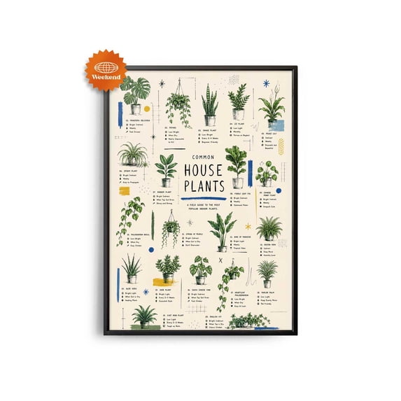 House Plants Hand Drawn Living Room Interior Design Retro Mid Century ...