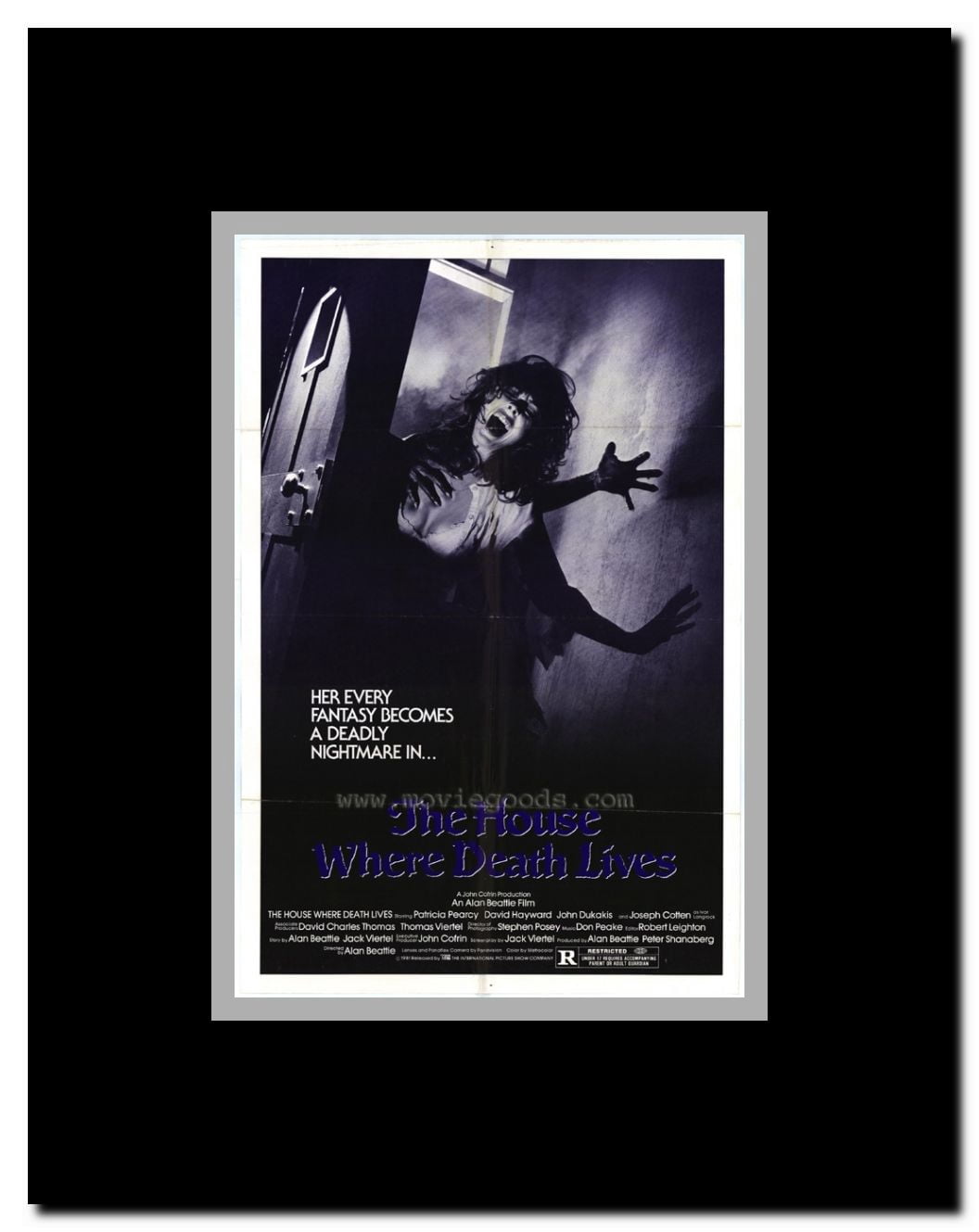 House Where Death Lives Framed Movie Poster