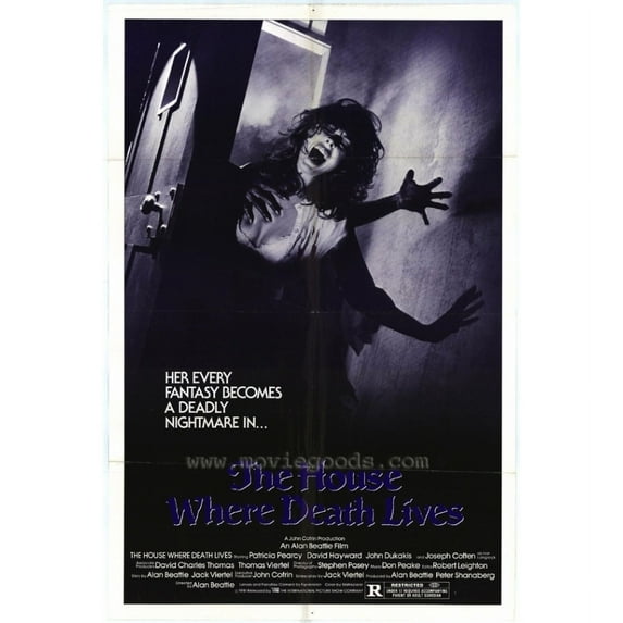 House Where Death Lives Movie Poster (11 x 17)