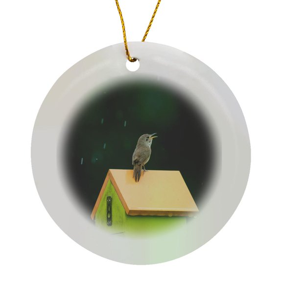 3drose, House Wren Male Singing in the Rain on Nest Box. Marion Co., Illinois, Circle Porcelain Ornament