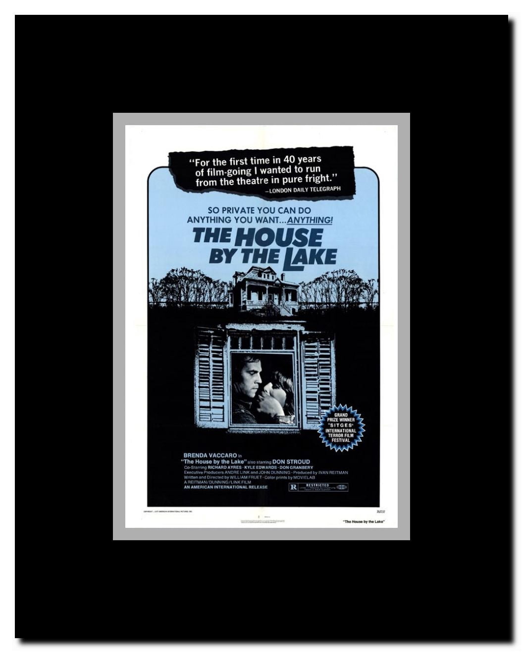 House by the Lake Framed Movie Poster