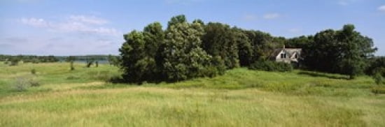 House in a field Otter Tail County Minnesota USA Canvas Art - Panoramic Images (36 x 12)