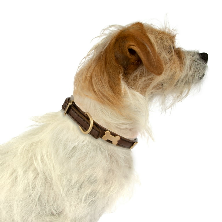 House of Barker Bone and Stud Vegan Leather Buckle Dog Collar Brown