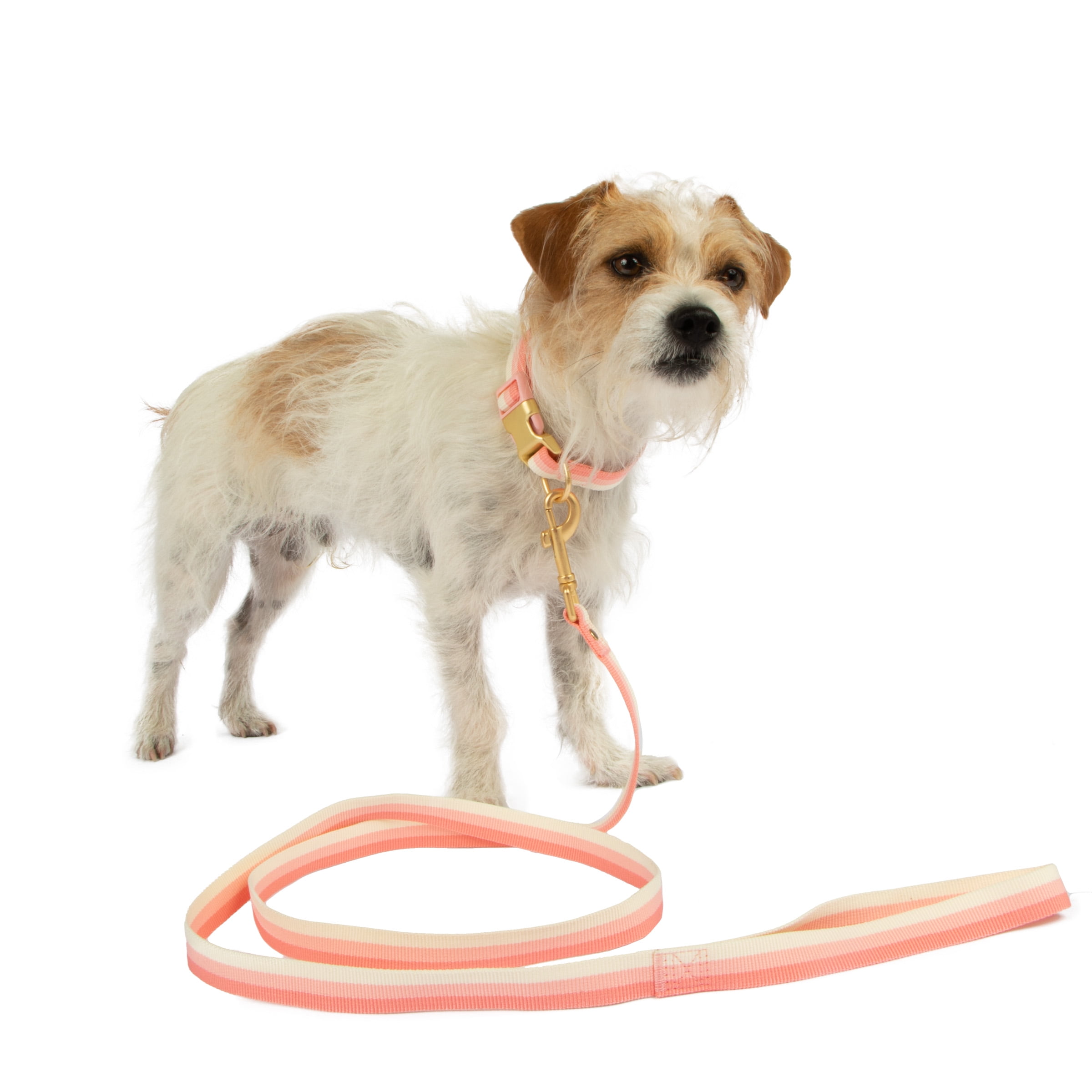 House of Barker, Woven Webbing Fashion Dog Collar & Leash Set, Pink, Medium