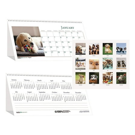 House of Doolittle 3659 12-Month (Jan to Dec): 2026 8.5 in. x 4.5 in. Puppies Photography Earthscapes Recycled Desk Tent Monthly Calendar - White Sheets