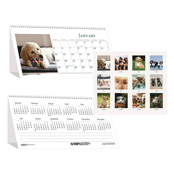 House of Doolittle 3659 12-Month (Jan to Dec): 2026 8.5 in. x 4.5 in. Puppies Photography Earthscapes Recycled Desk Tent Monthly Calendar - White Sheets