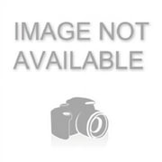 House Of Doolittle 150HD Two-Color Monthly Desk Pad Calendar, 22 x 17