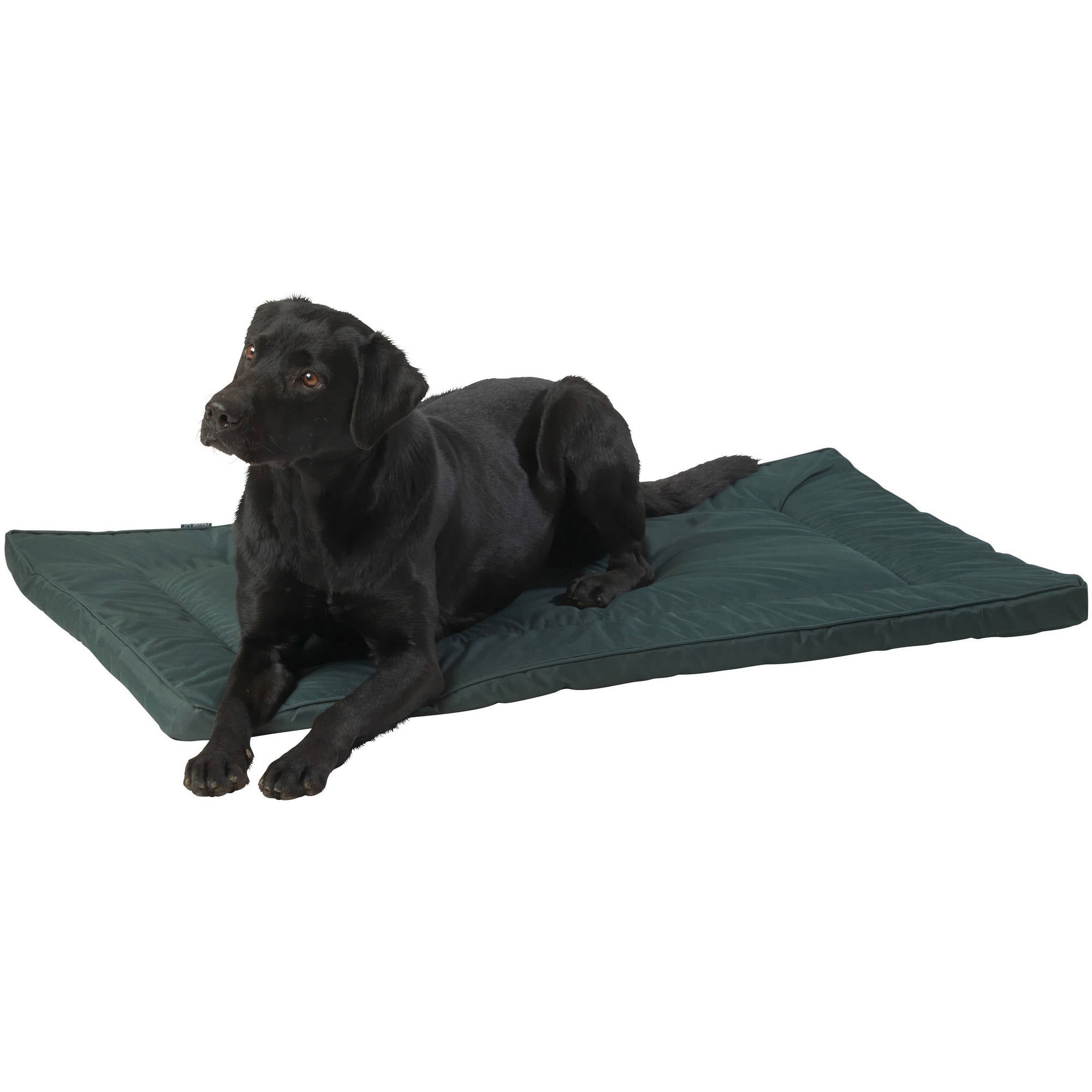https://i5.walmartimages.com/seo/House-of-Paws-Green-Water-Resistant-Pet-Crate-Mat-Large_c9df977f-853c-4550-b6dc-2b6b976890fd_1.2f0c85dee4c0c7f52901a25b6ce53642.jpeg