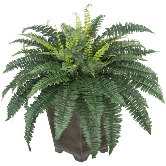 House of Silk Flowers Artificial Fern in Small Grey-Washed Wood Planter