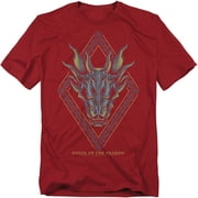 House of The Dragon T-Shirt Dragon Head Unisex Graphic Tee For Men & Women