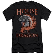 House of The Dragon, Hod Dragon Illustration Unisex Adult Canvas Brand T Shirt