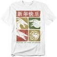 thumbnail image 1 of House of The Dragon T-Shirt Year of The Dragon Grid Unisex Graphic Tee For Men & Women, 1 of 7