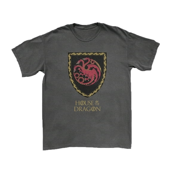 House of the Dragon Charcoal Grey Graphic T-Shirt - Small