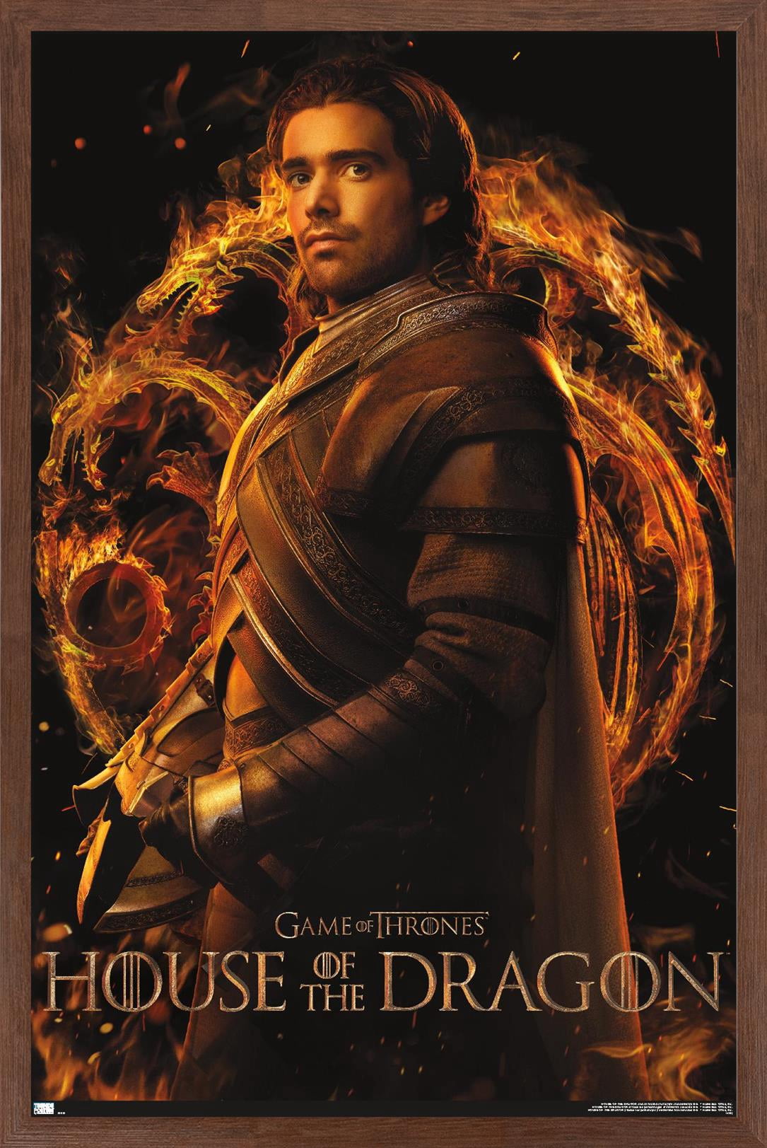 House of the Dragon - Criston One Sheet Wall Poster, 14.725" x 22.375" Framed