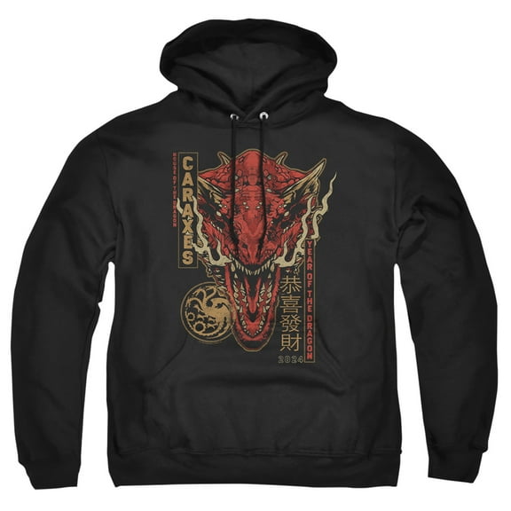 House of the Dragon Targaryen Year of the Dragon Unisex Adult Pull-Over Hoodie (2X-Large) Black