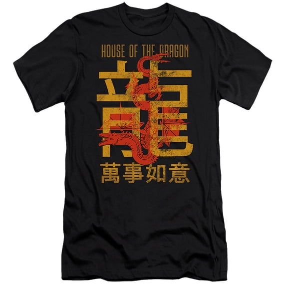 House of the Dragon Year of the Dragon Caraxes Slim Fit Unisex Adult T Shirt ,Black, Small