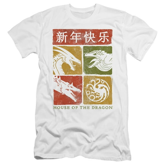 House of the Dragon Year of the Dragon Grid Slim Fit Unisex Adult T Shirt ,White, 2X-Large