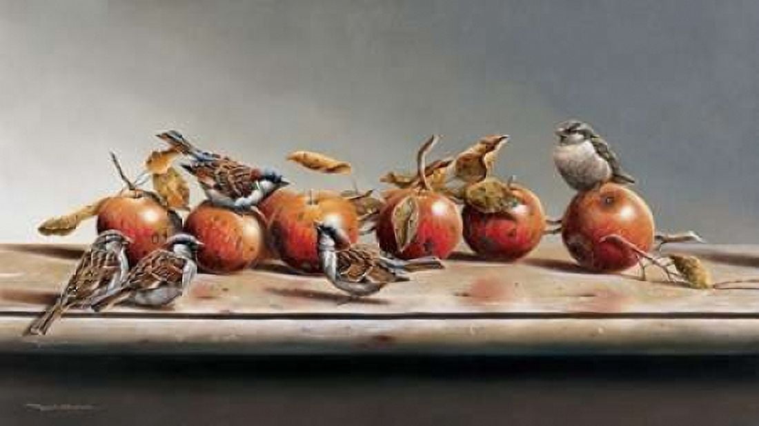 House sparrows I Canvas Art - Jan Weenink (12 x 18)
