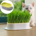 thumbnail image 1 of Household Cat Grass Planter Cat Grass For Indoor Cats Cat Grass Kit Hydroponic Cat Grass Planter Plastic Catnip Cat Grass Box Nursery Pots With Drainage Flower Pots Vases Home Decor Cat Grass Growing, 1 of 9