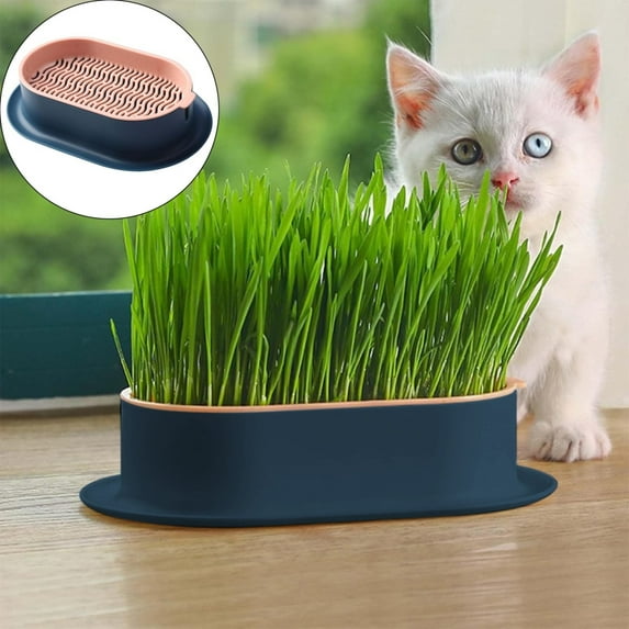 Household Cat Grass Planter Cat Grass For Indoor Cats Cat Grass Kit Hydroponic Cat Grass Planter Plastic Catnip Cat Grass Box Nursery Pots With Drainage Flower Pots Vases Home Decor Cat Grass Growing