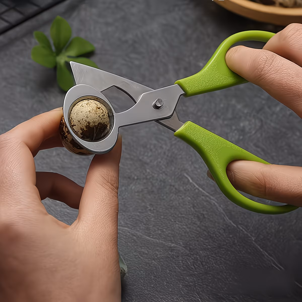 Household Quail Scissors, Stainless Steel Material, Sharp & Durable Kitchen Shears, Essential Multi-Purpose Cutting Tool for Poultry & Small Game