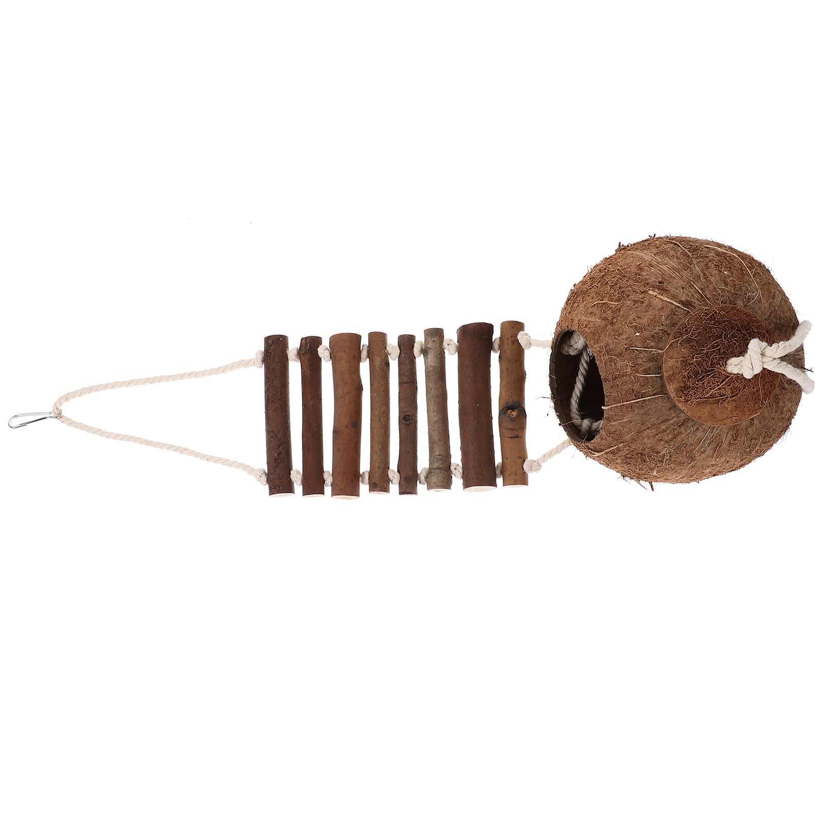 Household Reptile Shelter Adorable Cave Coconut Shell Hut for Hermit ...