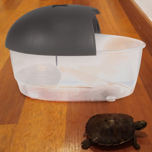 Household Turtle Tank with Ramp and Spacious Water for Healthy Turtle Habitat