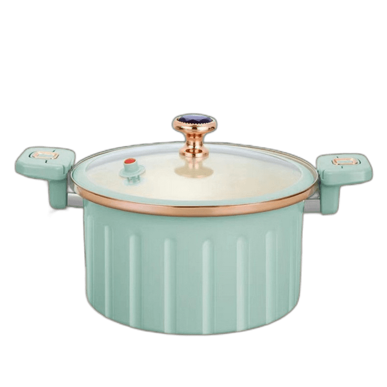 Roman induction cooker discount