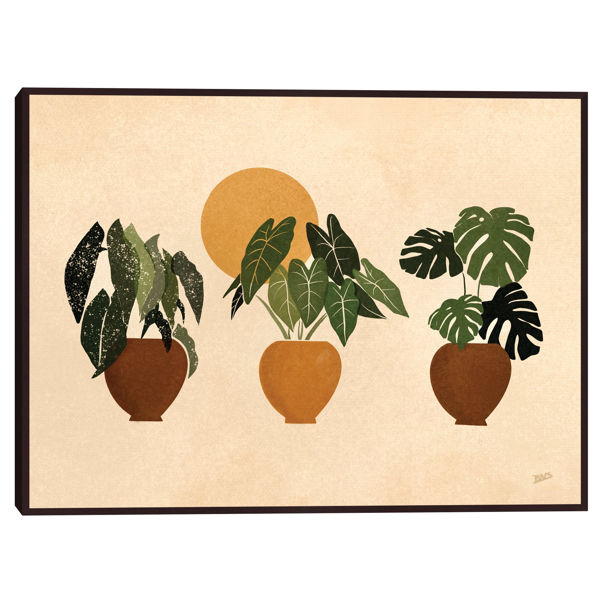 Houseplants II by Bria Nicole Framed Canvas Art Print