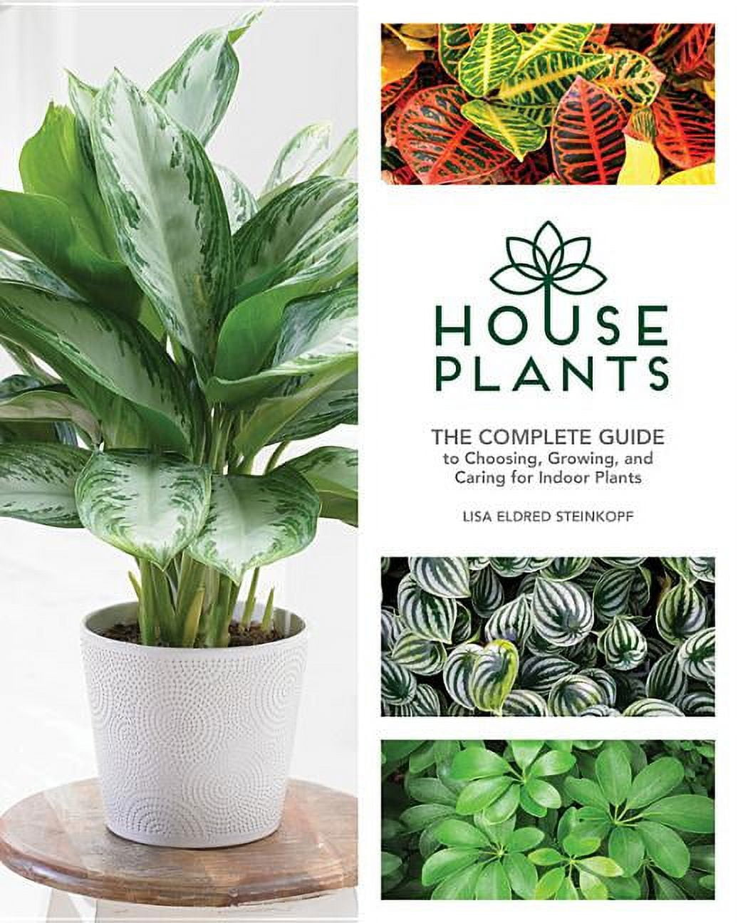 Home Plant Buying Guide