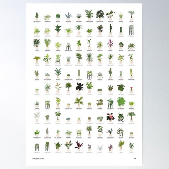 Houseplants | The Ultimate Guide Of 100 Plants Poster Wall Art, Modern Wall Decor For Living Room Bedroom, 8x12 UNFRAMED